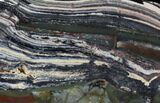Stromatolite Slice - Pilbara, Australia ( Billion Years) #22488-1